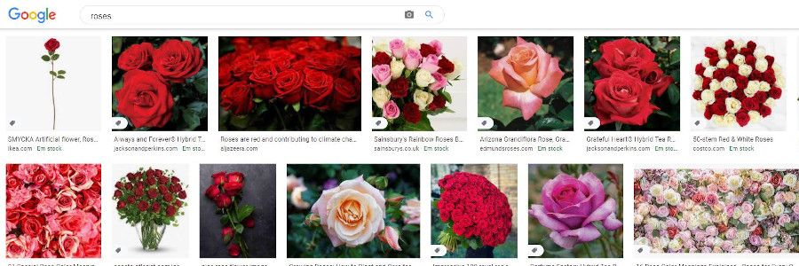 Dicas de como usar os filtros do Google Imagens